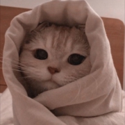 Анна Кузьмина